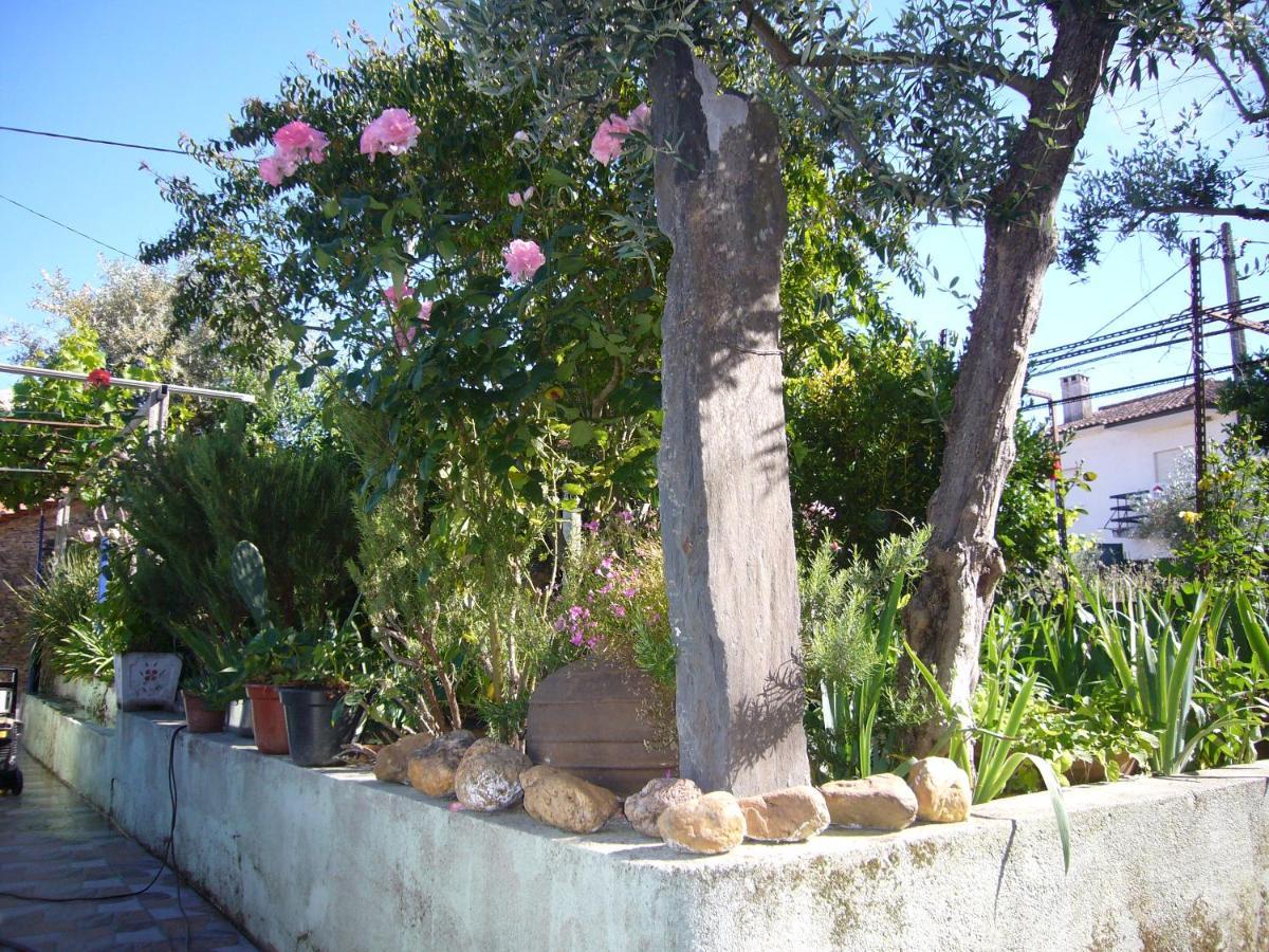 Villa Casinha Da Aldeia à Castelo Branco  Extérieur photo