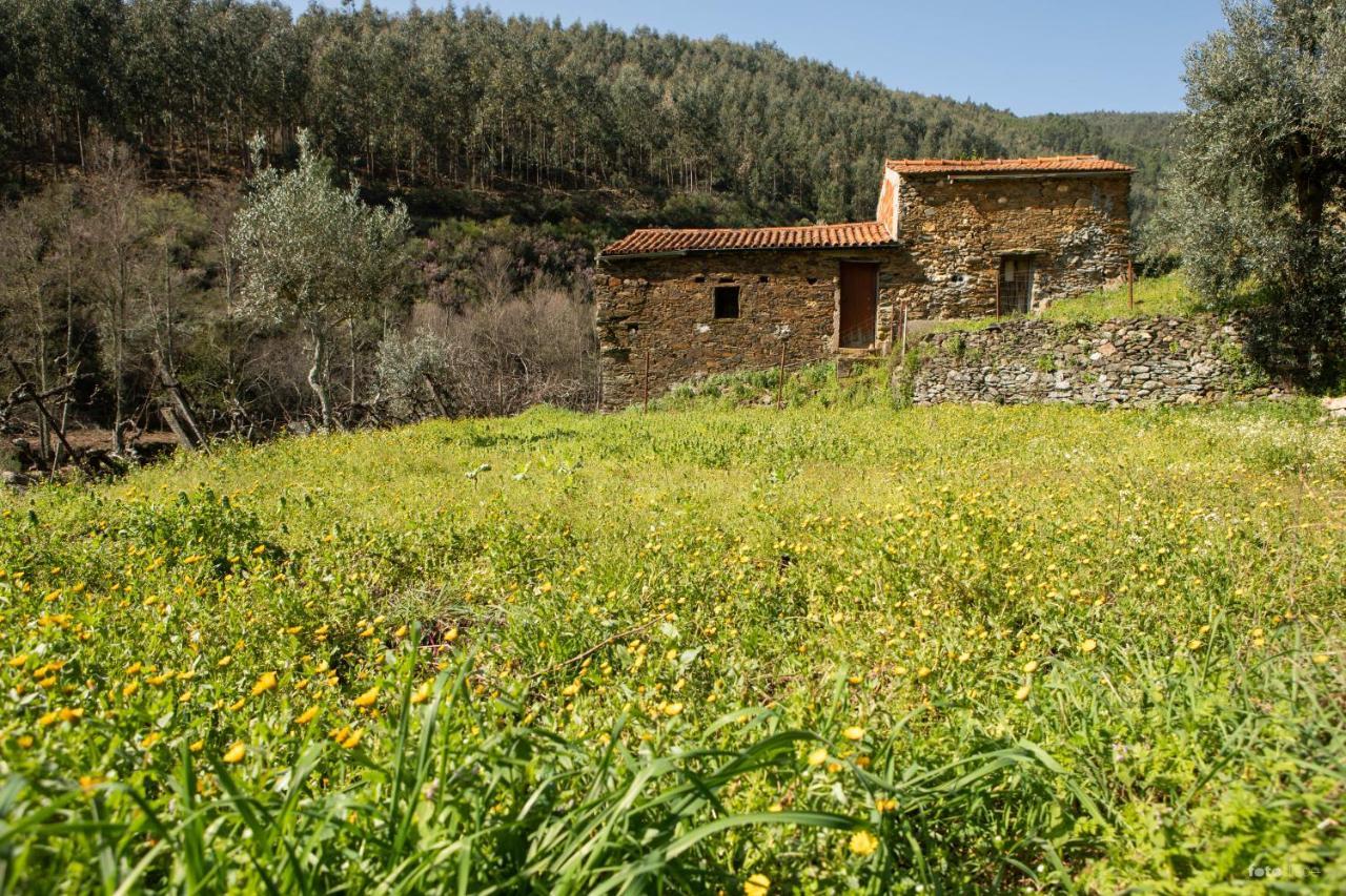 Villa Casinha Da Aldeia à Castelo Branco  Extérieur photo