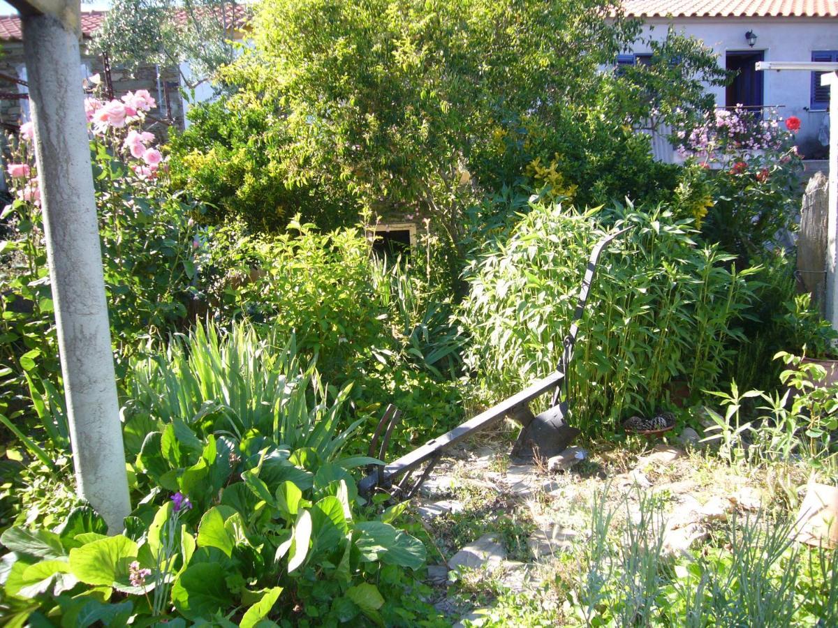 Villa Casinha Da Aldeia à Castelo Branco  Extérieur photo