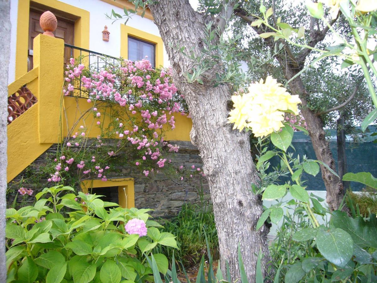 Villa Casinha Da Aldeia à Castelo Branco  Extérieur photo