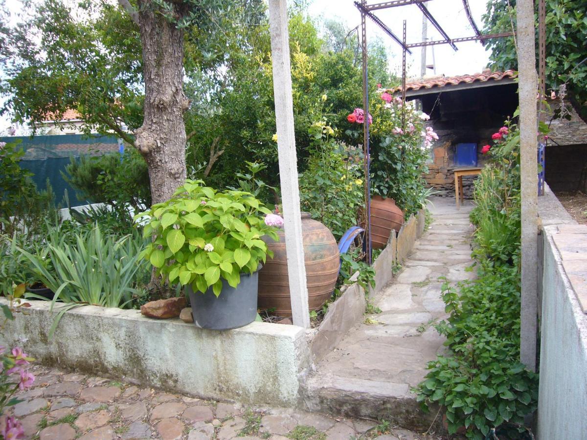 Villa Casinha Da Aldeia à Castelo Branco  Extérieur photo