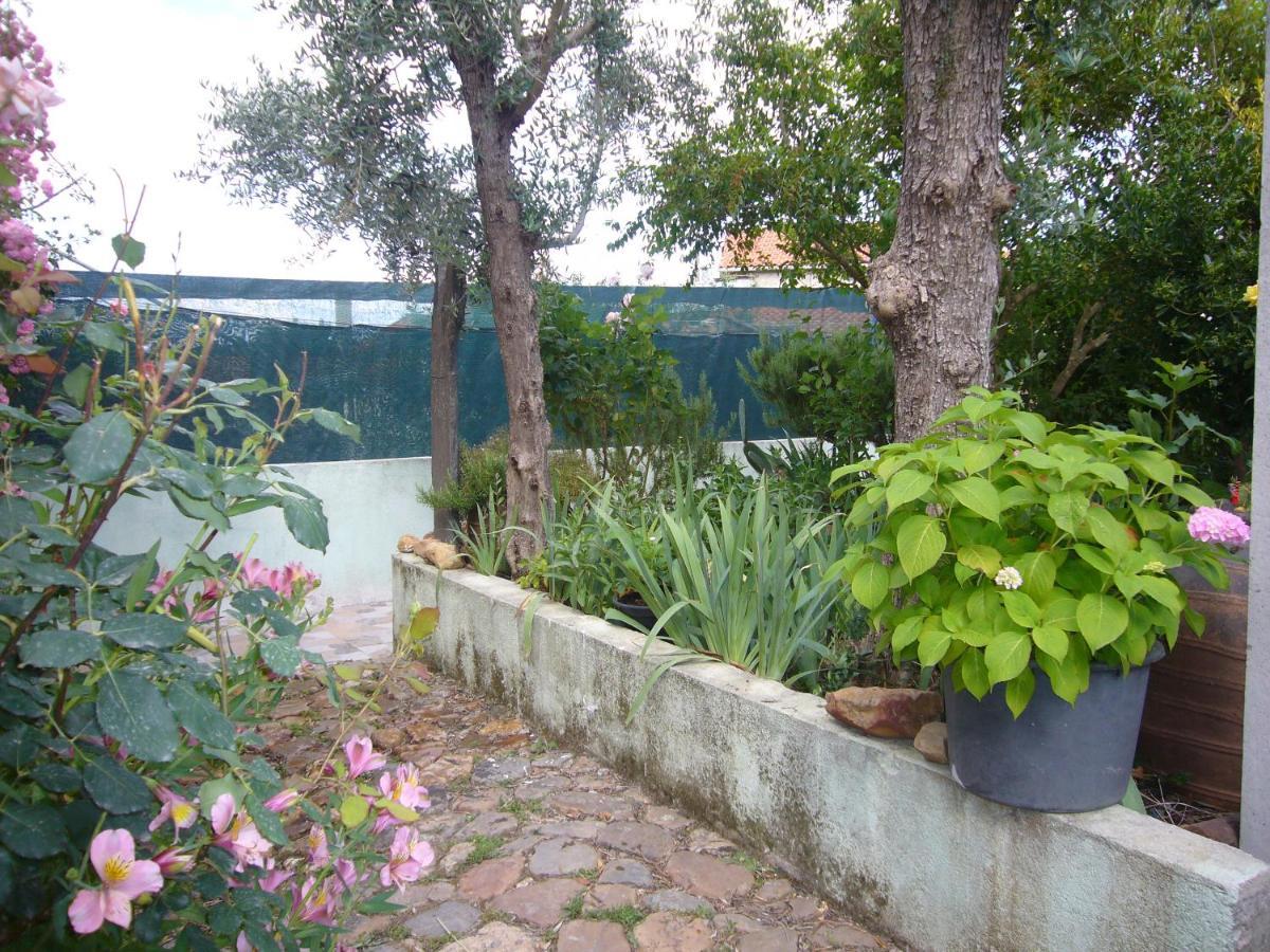 Villa Casinha Da Aldeia à Castelo Branco  Extérieur photo